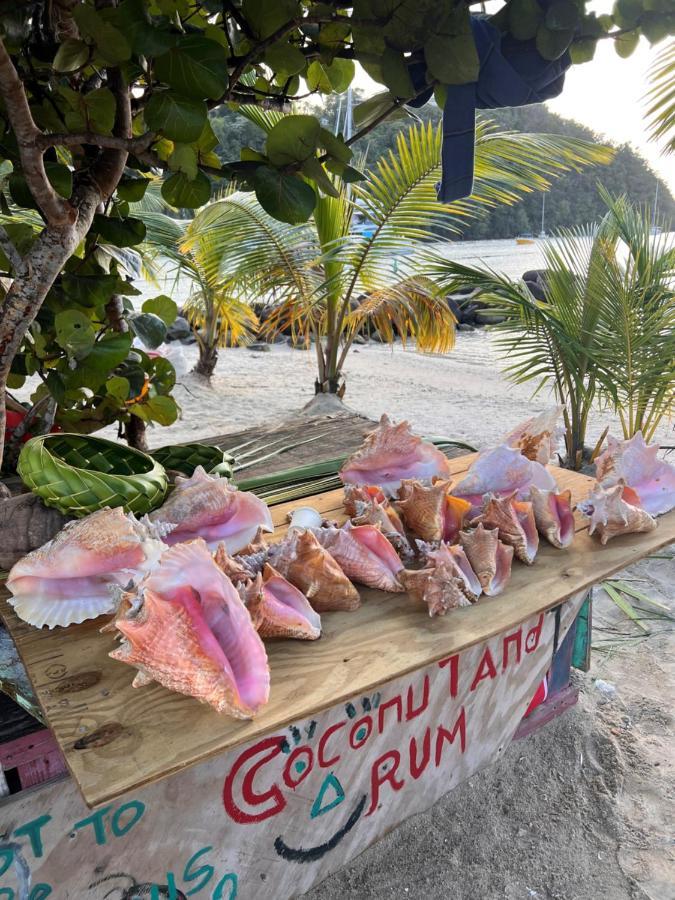 Casa Del Vega A Little Peace Of Heaven Hotel Castries Exterior foto