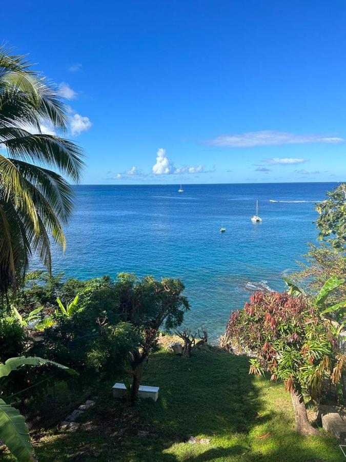 Casa Del Vega A Little Peace Of Heaven Hotel Castries Exterior foto