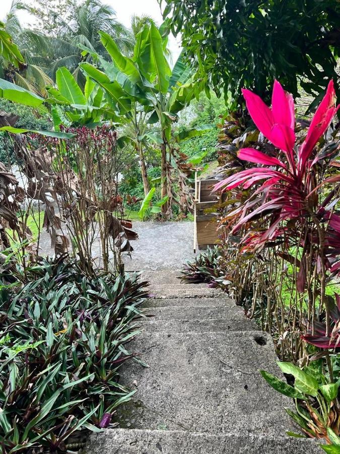Casa Del Vega A Little Peace Of Heaven Hotel Castries Exterior foto
