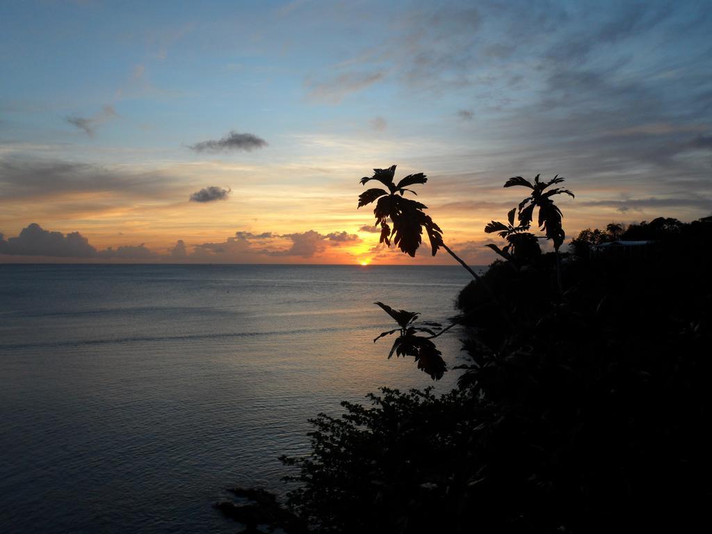 Casa Del Vega A Little Peace Of Heaven Hotel Castries Cameră foto