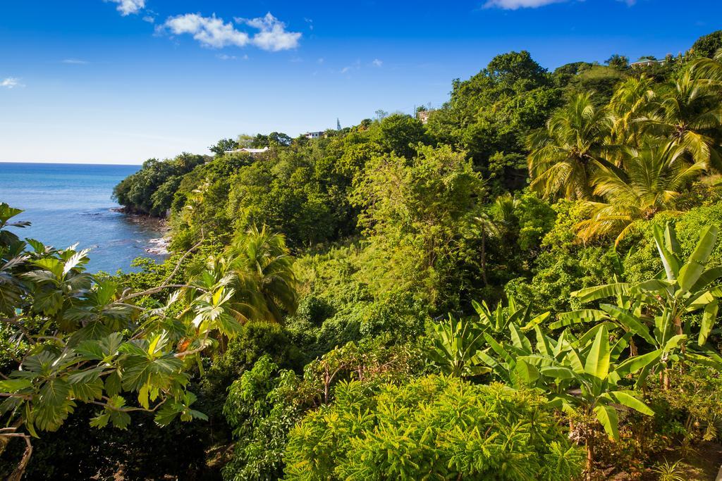 Casa Del Vega A Little Peace Of Heaven Hotel Castries Exterior foto