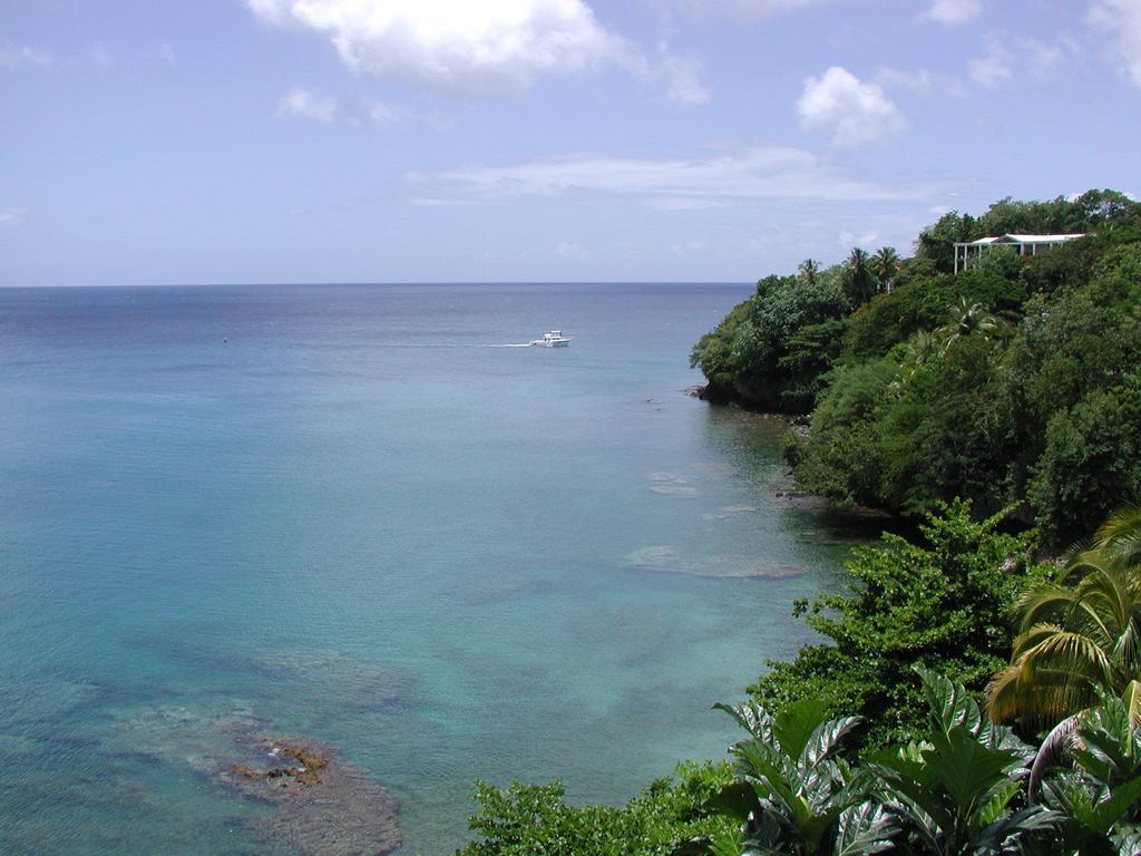 Casa Del Vega A Little Peace Of Heaven Hotel Castries Cameră foto